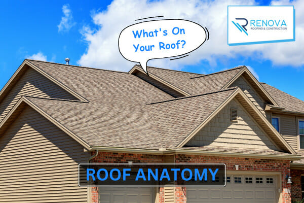 The Anatomy of a Roof: Understanding How Each Part Functions