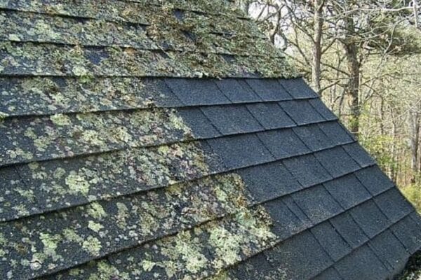 Roof Mold or Mildew